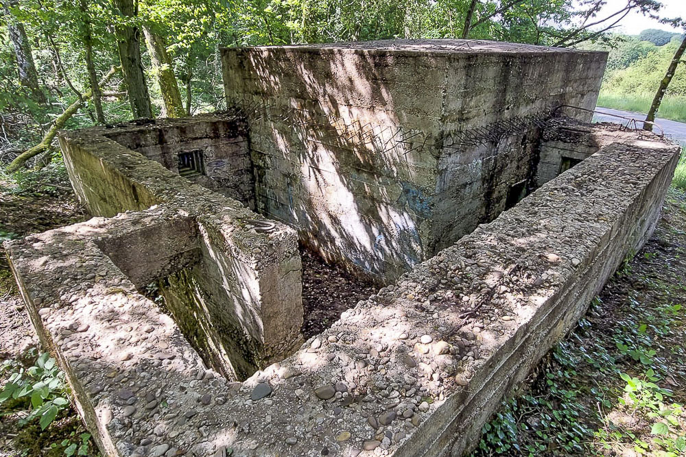 Ligne Maginot - CB260 - STRESSLING 1 - (Blockhaus pour arme infanterie) -  - Serge Teiten
