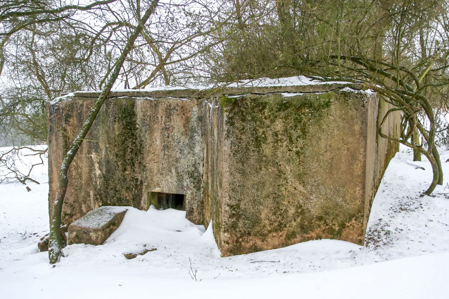 Ligne Maginot - CB316 - BROMMELSBERG SUD - (Blockhaus pour arme infanterie) -  - Michel Teiten
