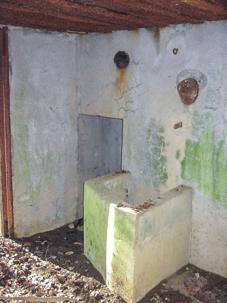 Ligne Maginot - CB317 - BROMMELSBERG NORD - (Blockhaus pour canon) -  - Michel Teiten