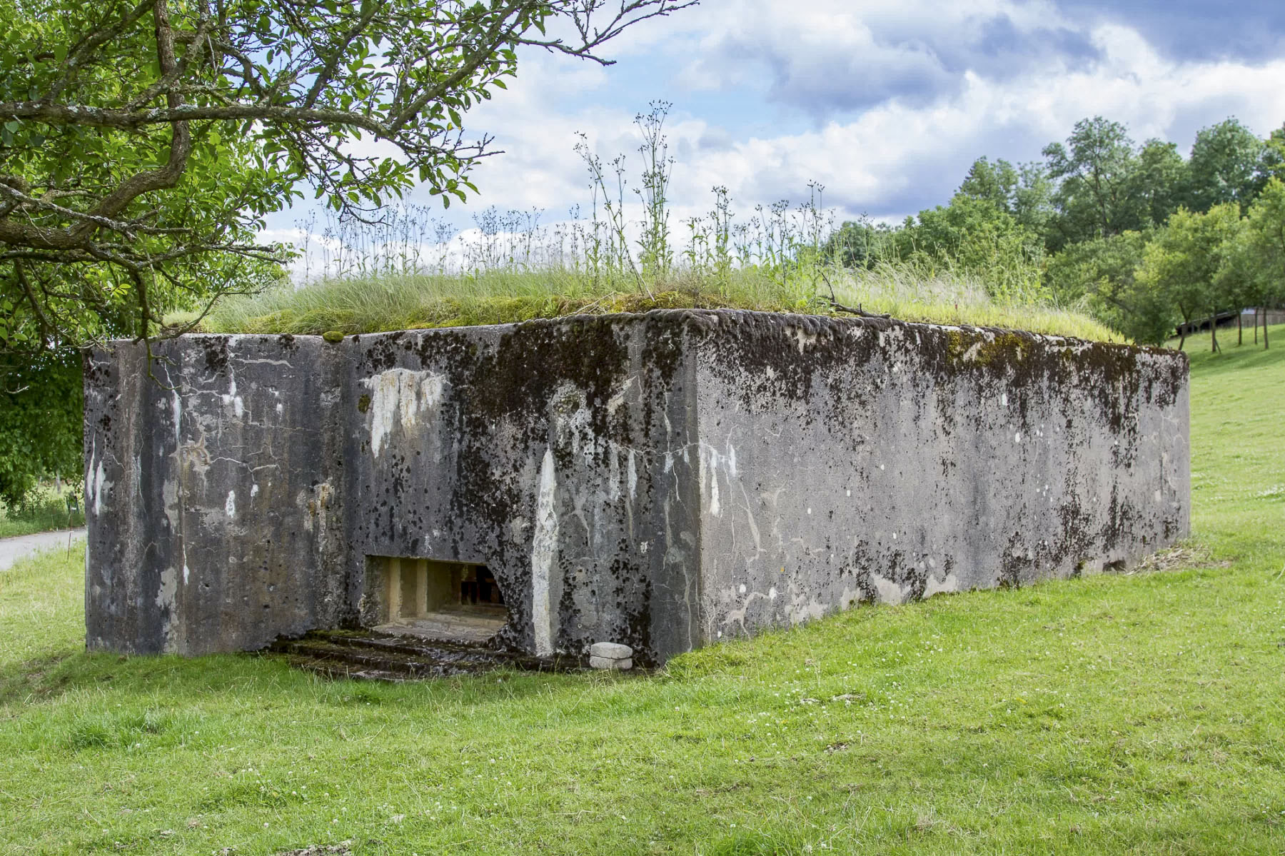 Ligne Maginot - CB160 - INGLANGE NORD - (Blockhaus pour canon) -  - Michel Teiten