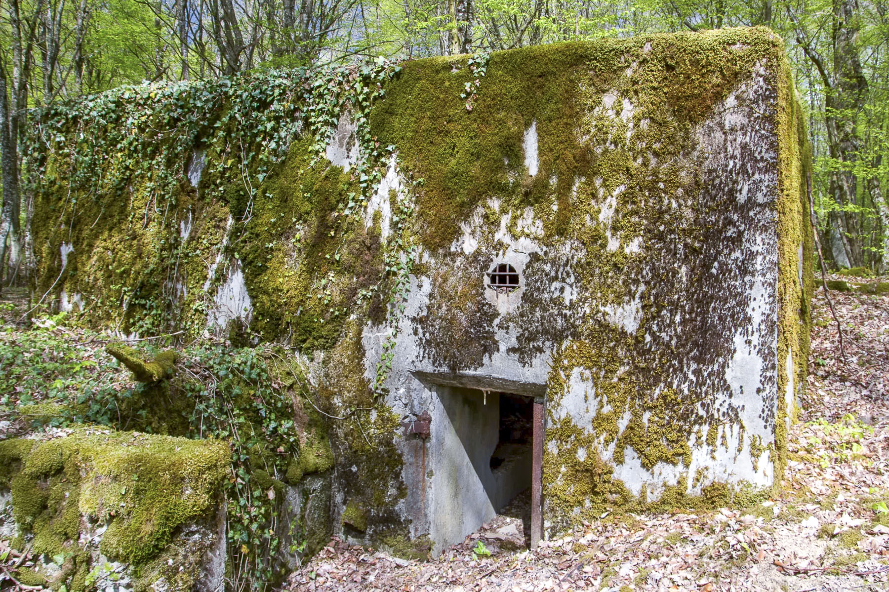 Ligne Maginot - CB303 - KANFENER BUSCH 3 - (Blockhaus pour canon) -  - Michel Teiten