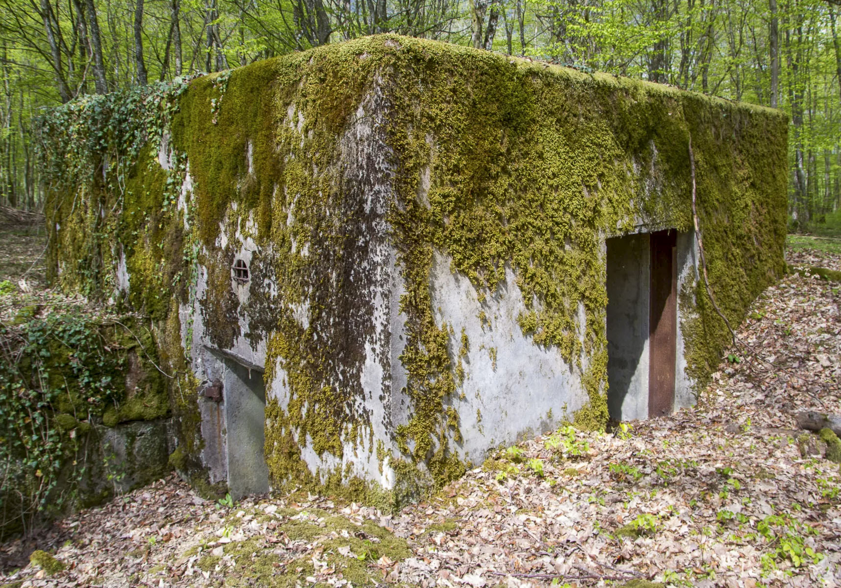 Ligne Maginot - CB303 - KANFENER BUSCH 3 - (Blockhaus pour canon) -  - Michel Teiten