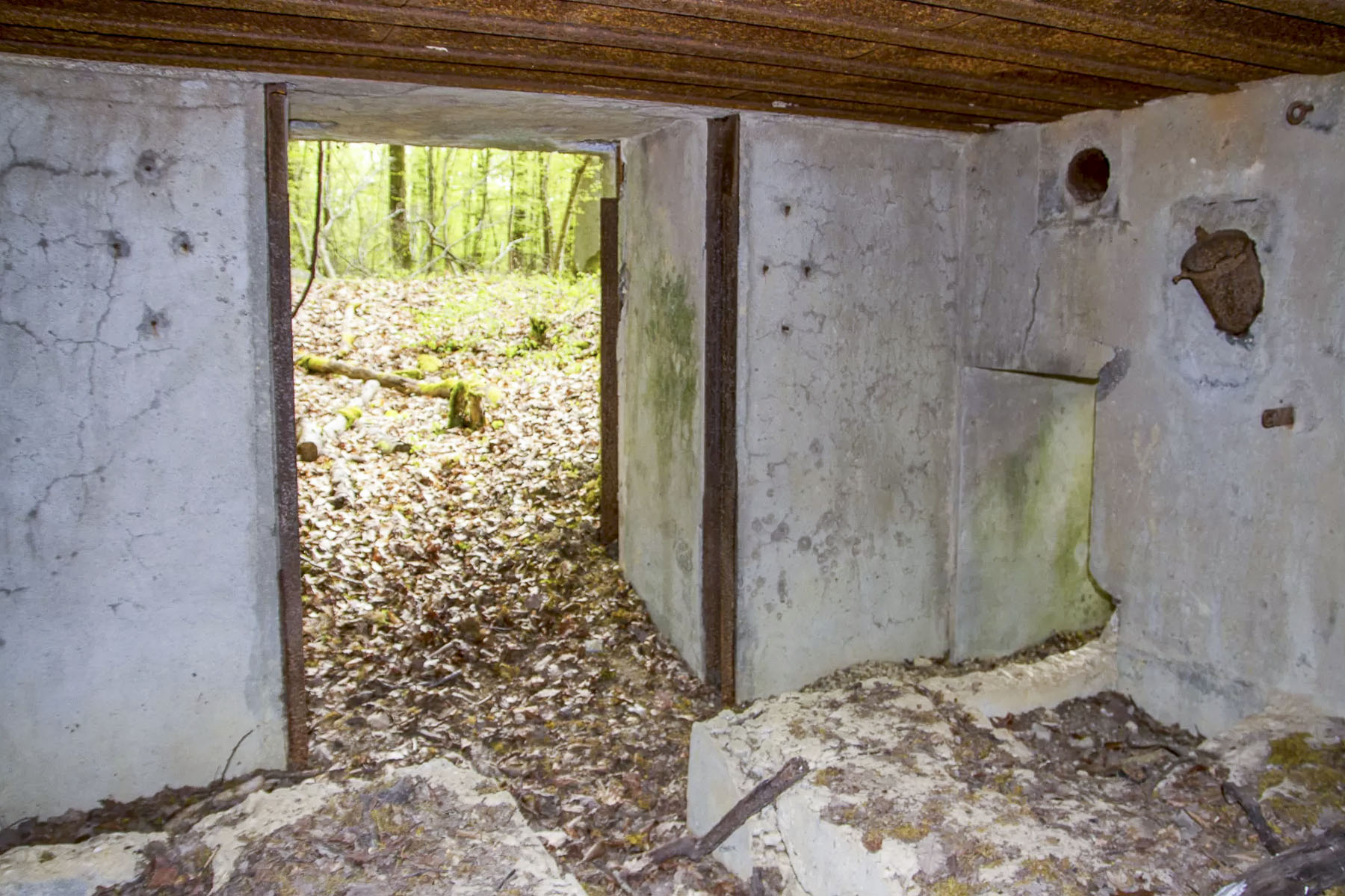 Ligne Maginot - CB303 - KANFENER BUSCH 3 - (Blockhaus pour canon) -  - Michel Teiten