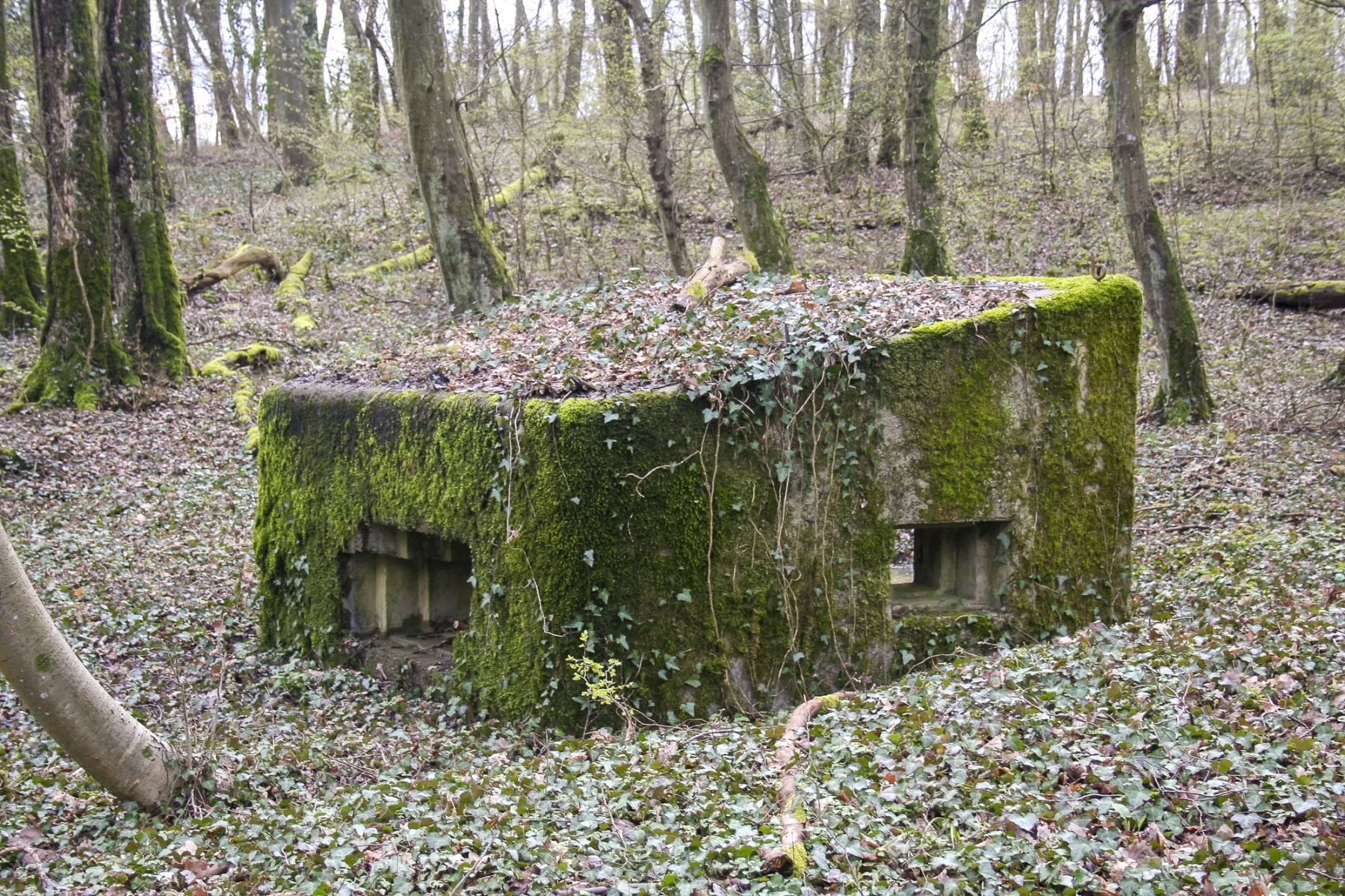 Ligne Maginot - CBO2 - (Blockhaus pour canon) -  - Michel Teiten