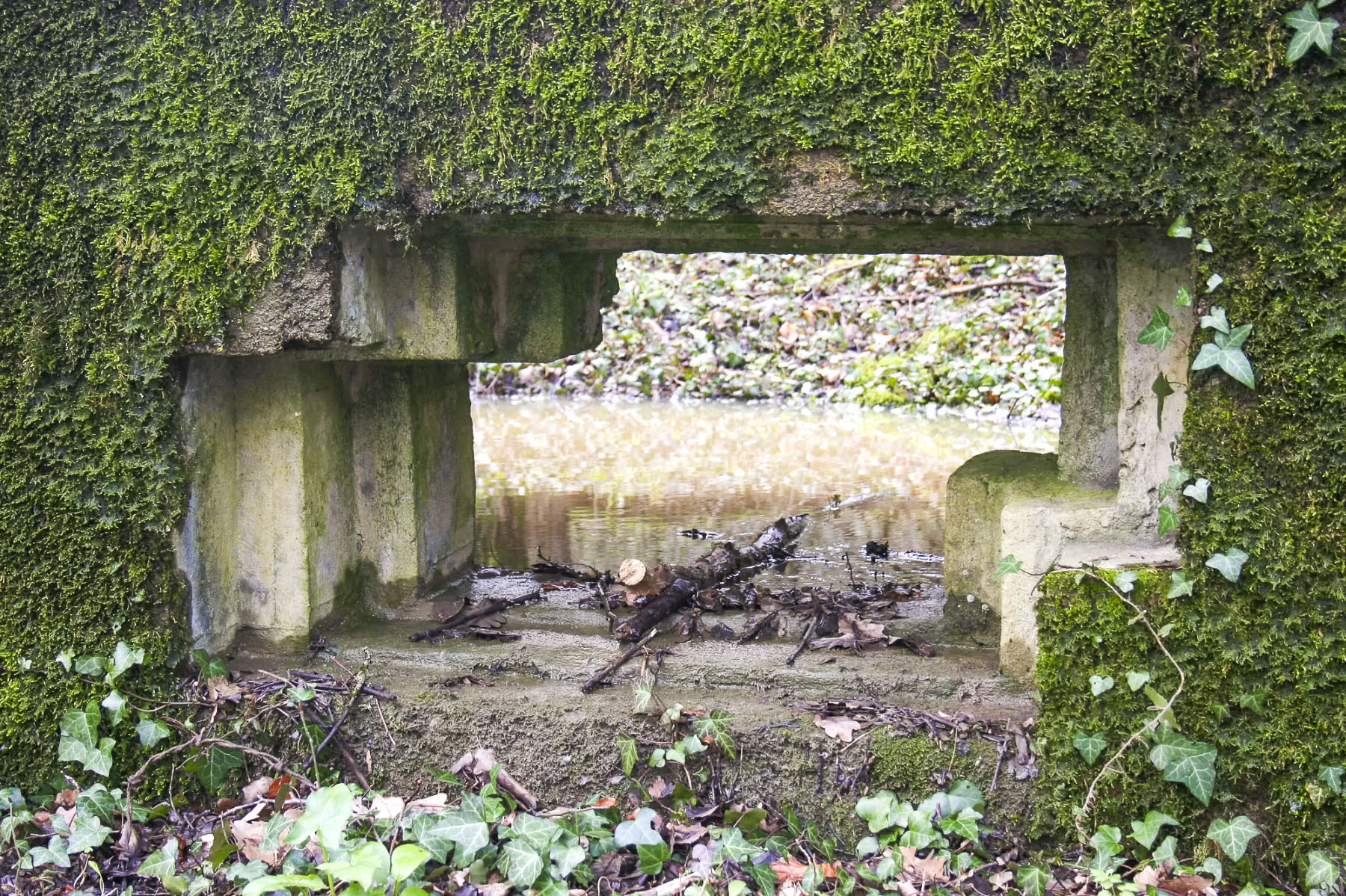 Ligne Maginot - CBO2 - (Blockhaus pour canon) - Créneau principal - Michel Teiten
