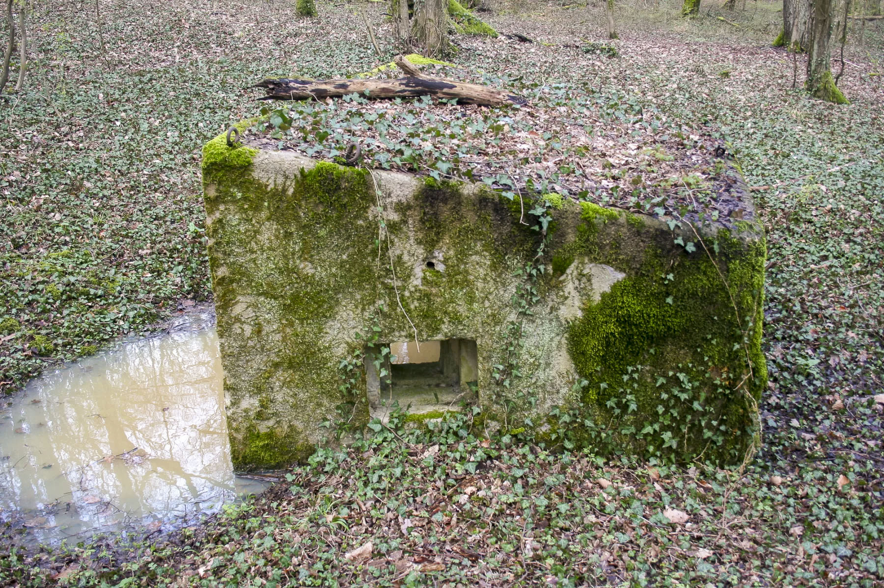 Ligne Maginot - CBO2 - (Blockhaus pour canon) -  - Michel Teiten