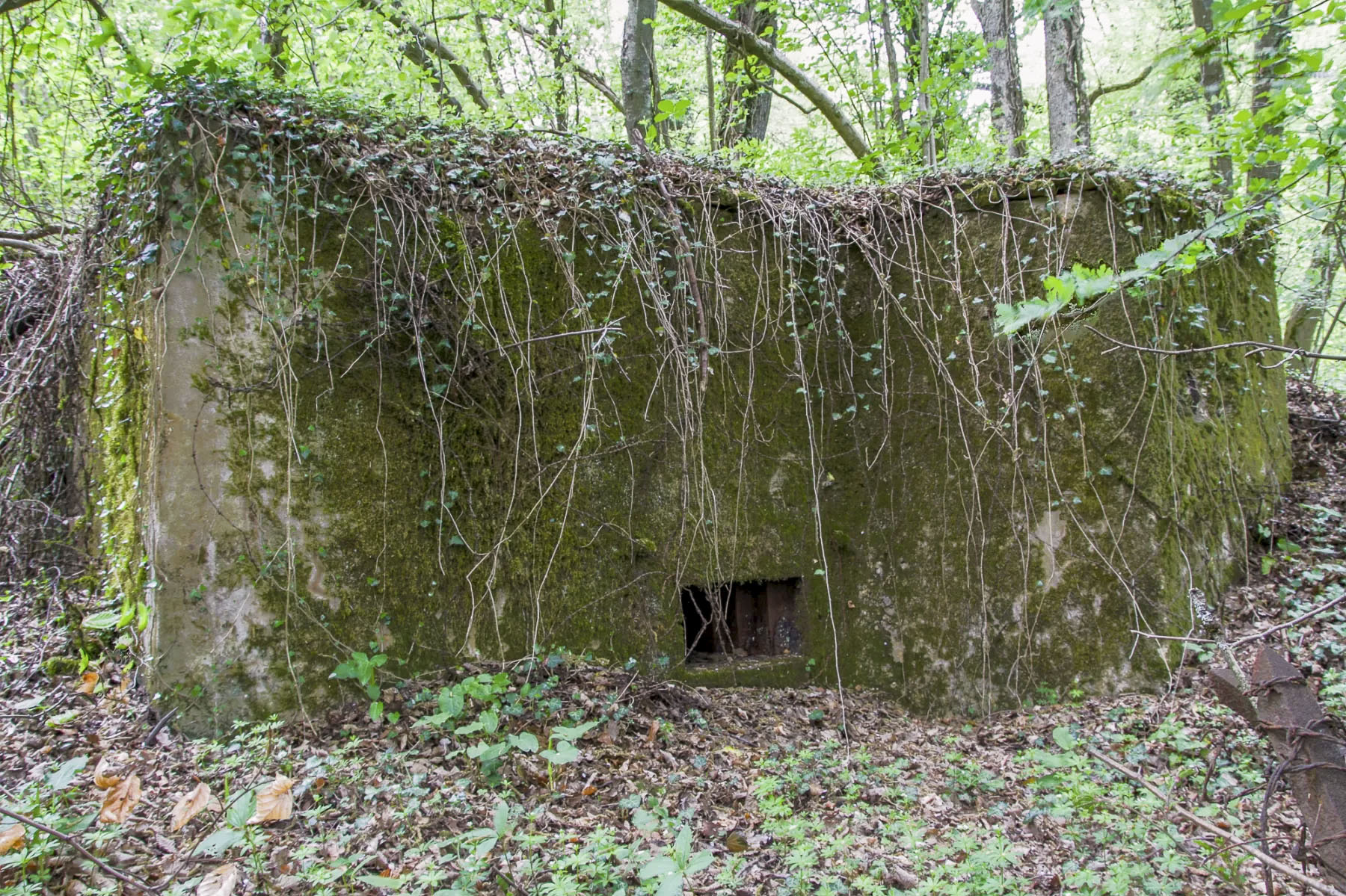 Ligne Maginot - CB335 - BOIS DE LA FANK - (Blockhaus pour arme infanterie) -  - Michel Teiten