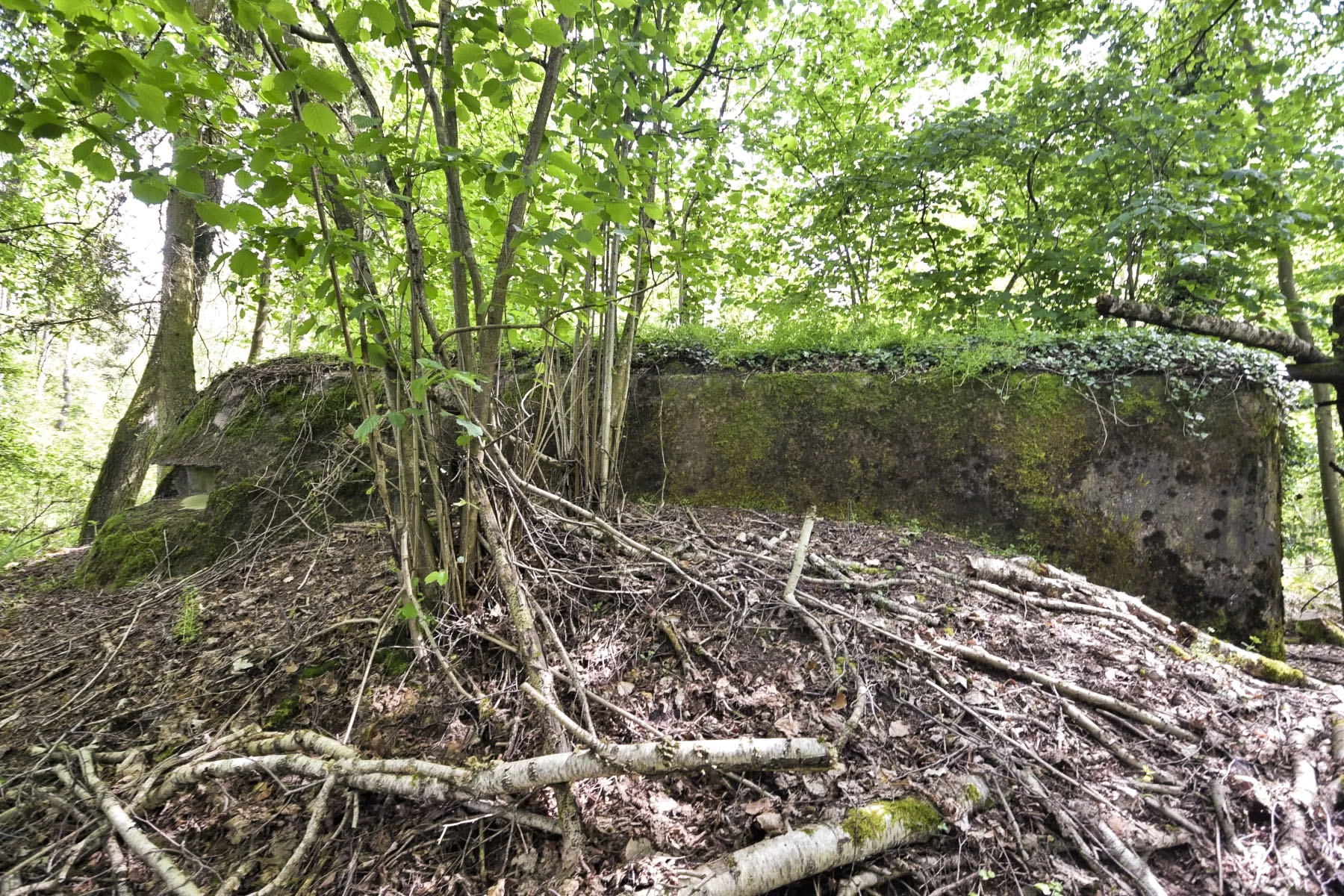 Ligne Maginot - BIBLISHEIM 2 - (Blockhaus pour arme infanterie) -  - Ludovic KNAPP