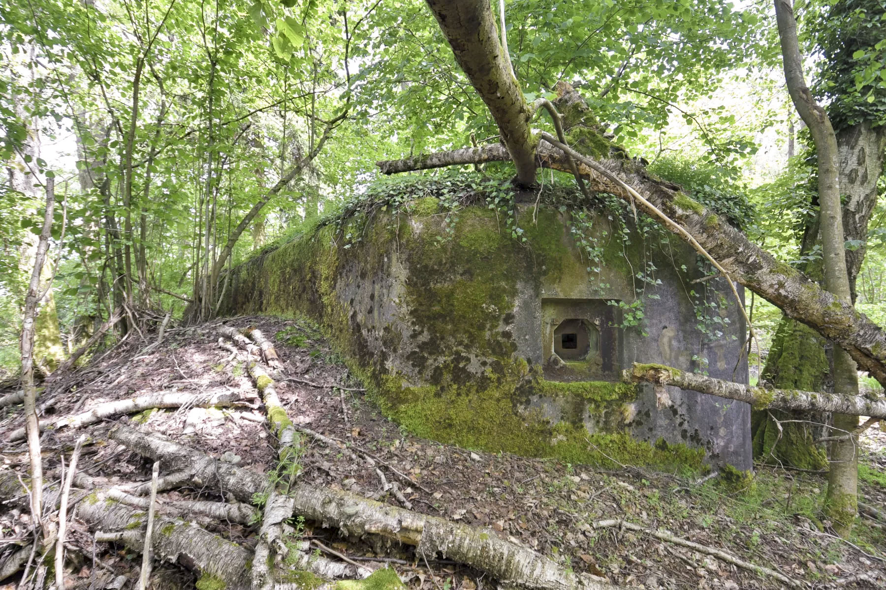 Ligne Maginot - BIBLISHEIM 2 - (Blockhaus pour arme infanterie) -  - Ludovic KNAPP