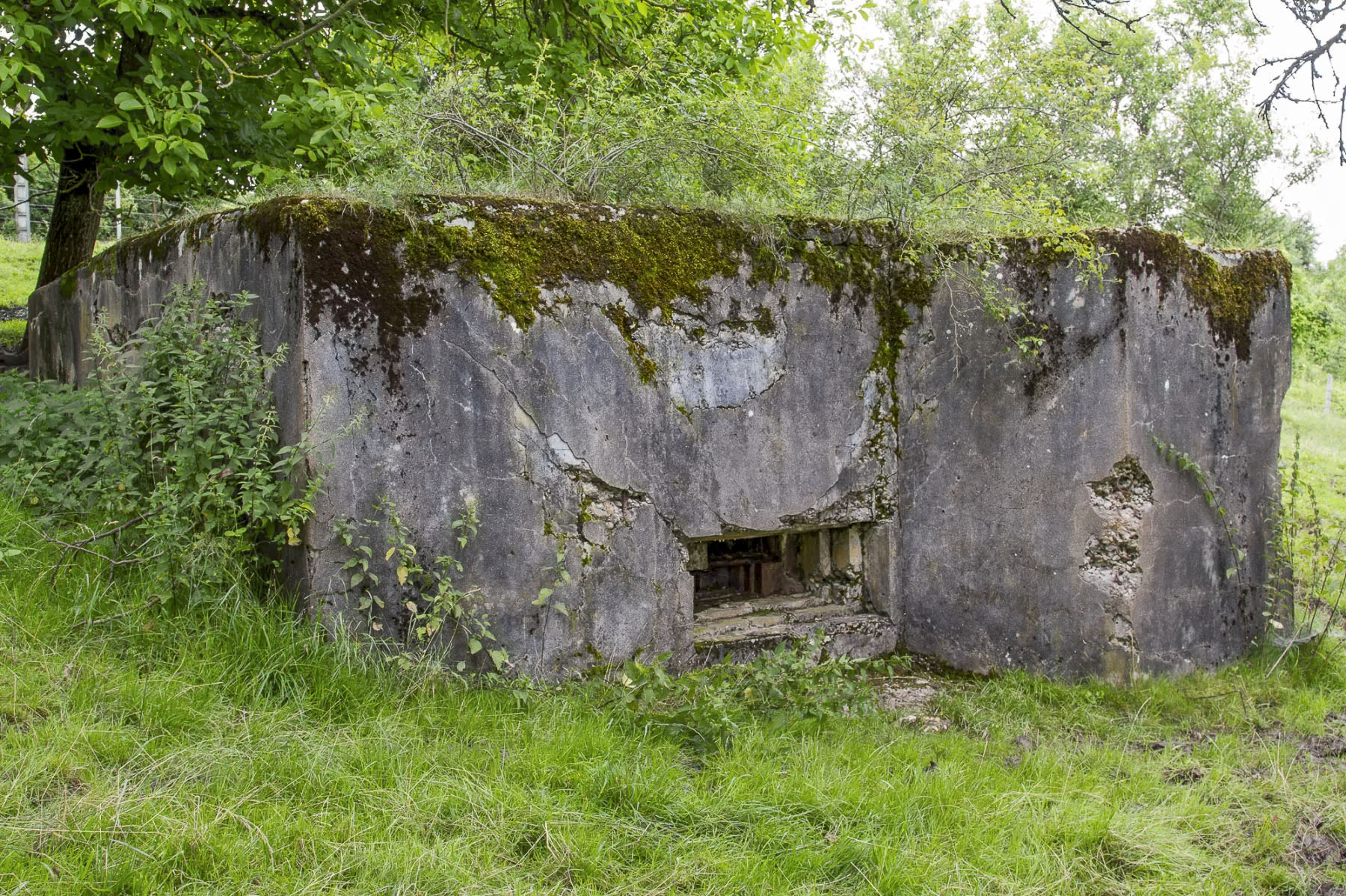 Ligne Maginot - CB614 - INGLANGE SUD - (Blockhaus pour canon) -  - Michel Teiten