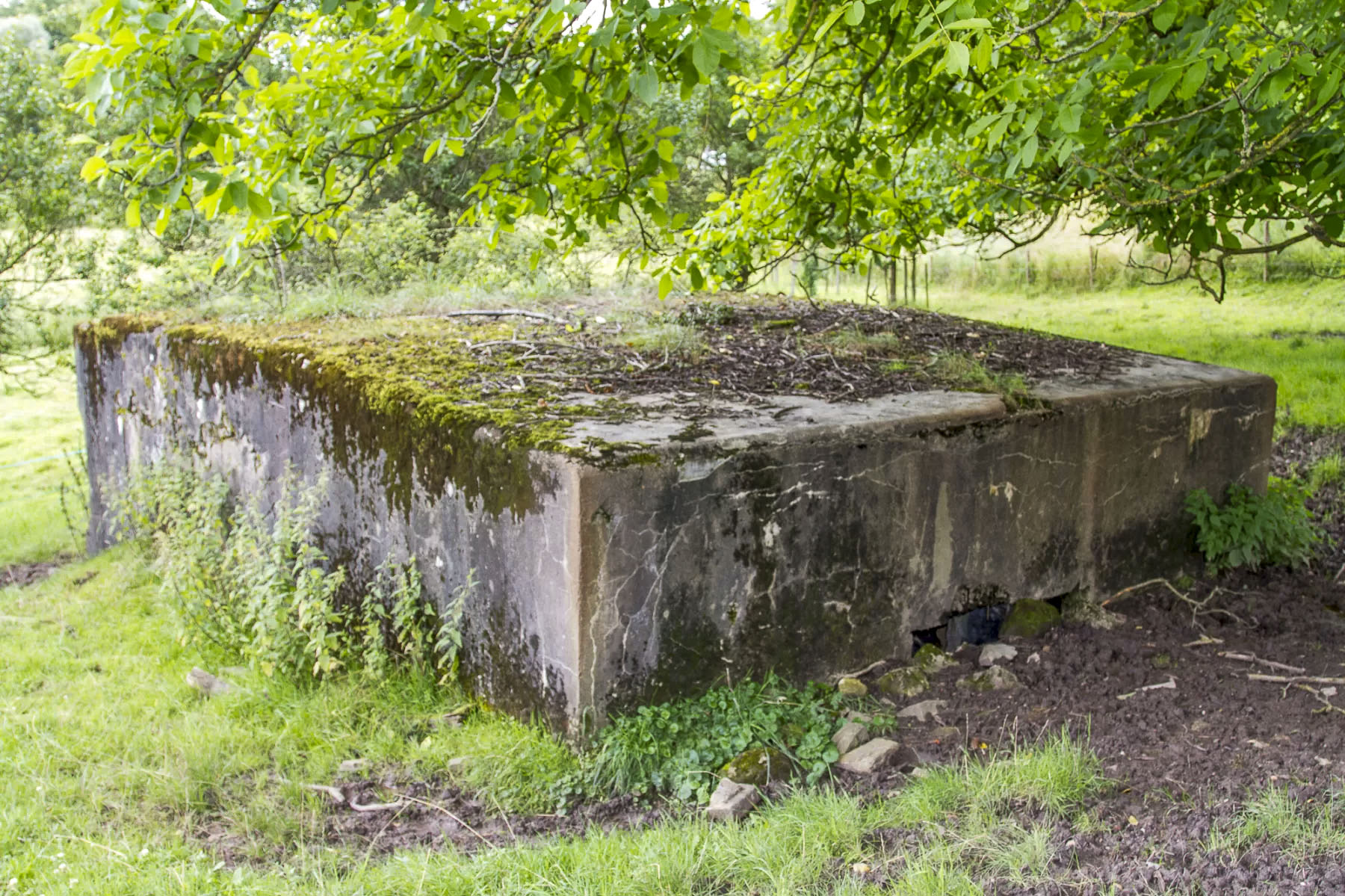 Ligne Maginot - CB614 - INGLANGE SUD - (Blockhaus pour canon) -  - Michel Teiten