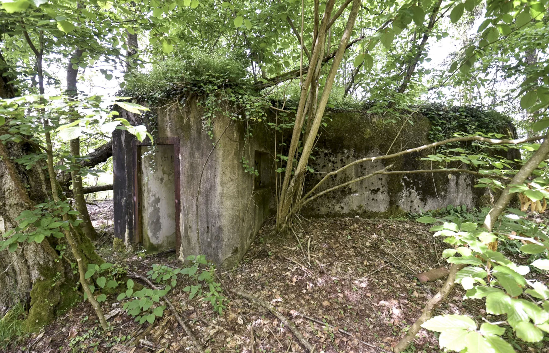 Ligne Maginot - BIBLISHEIM 2 - (Blockhaus pour arme infanterie) -  - Ludovic KNAPP