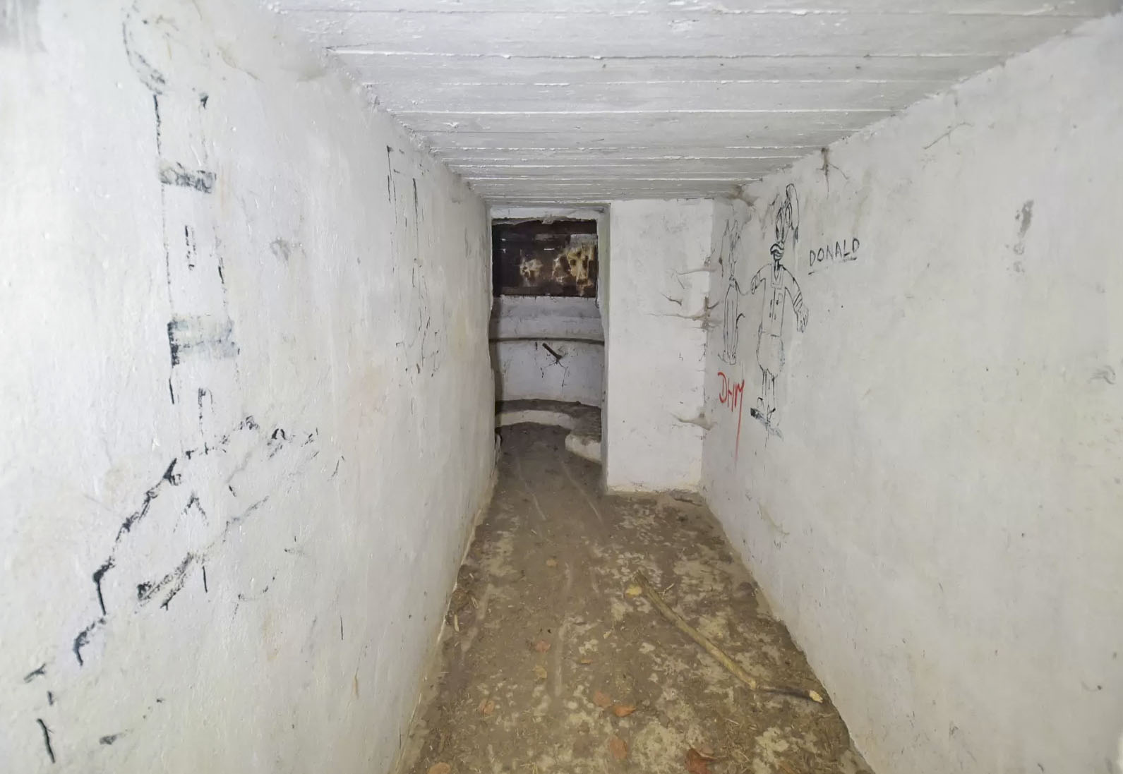 Ligne Maginot - BIBLISHEIM 2 - (Blockhaus pour arme infanterie) -  - Ludovic KNAPP