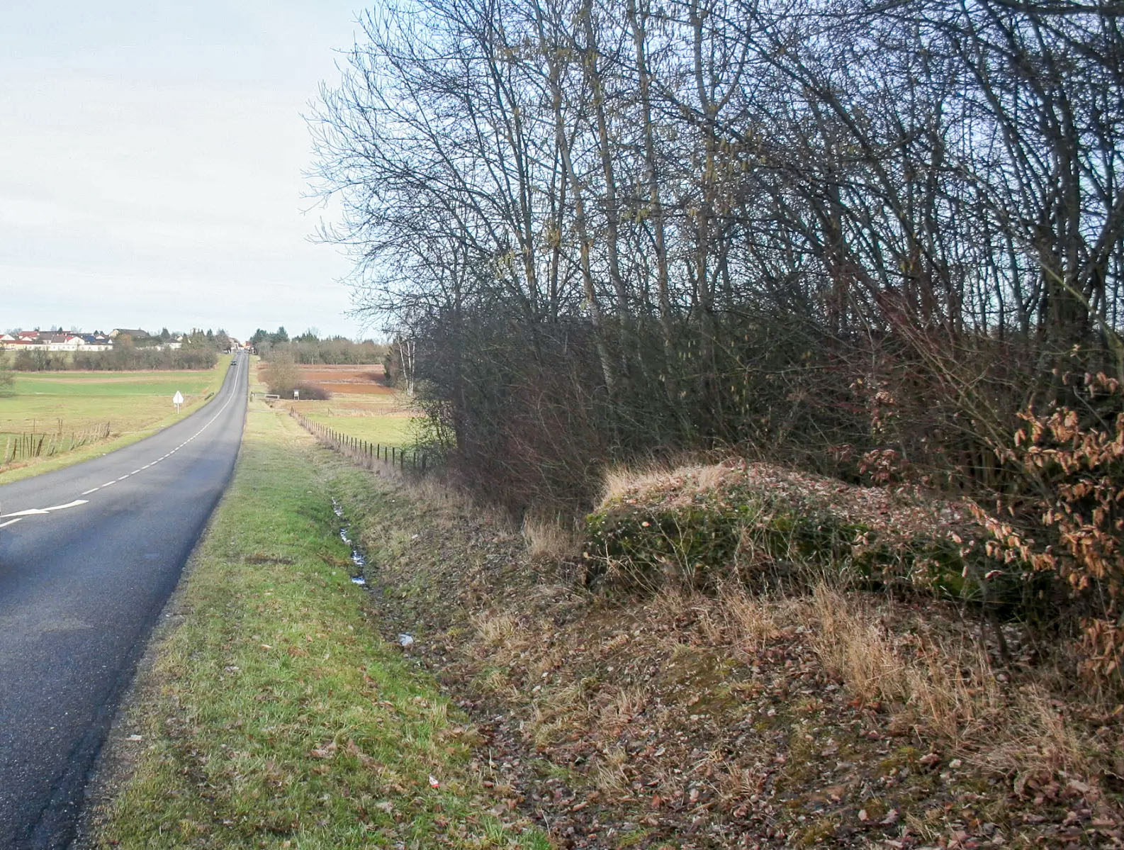 Ligne Maginot - CB73-C - KUHDRECK 1 - (Blockhaus pour arme infanterie) - Le blockhaus est juste en bordure de la départementale menant au village de Boust - Michel Teiten