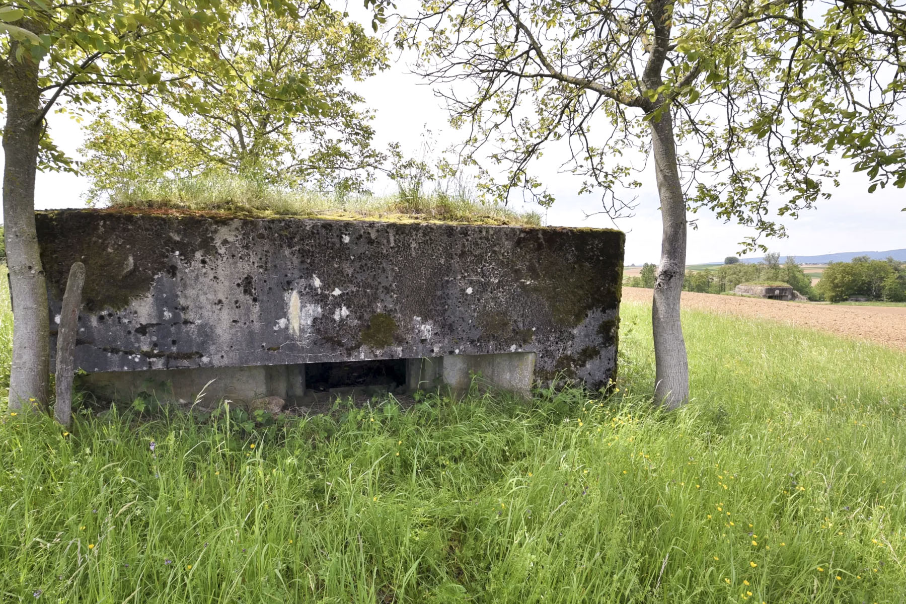 Ligne Maginot - HECKENMUEHLE EST - (Blockhaus pour canon) -  - Ludovic KNAPP