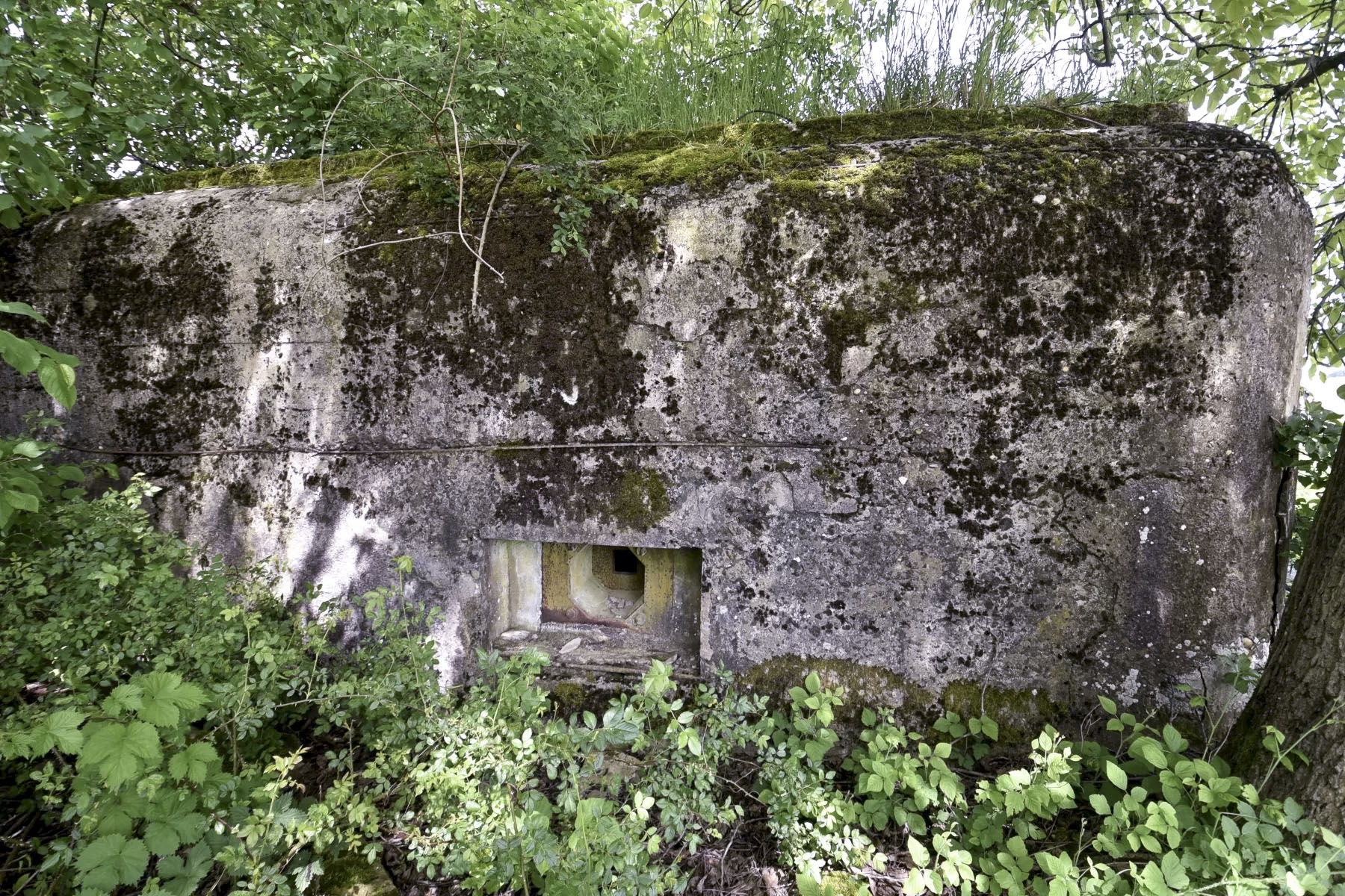 Ligne Maginot - HECKENMUEHLE OUEST - (Blockhaus pour arme infanterie) -  - Ludovic KNAPP