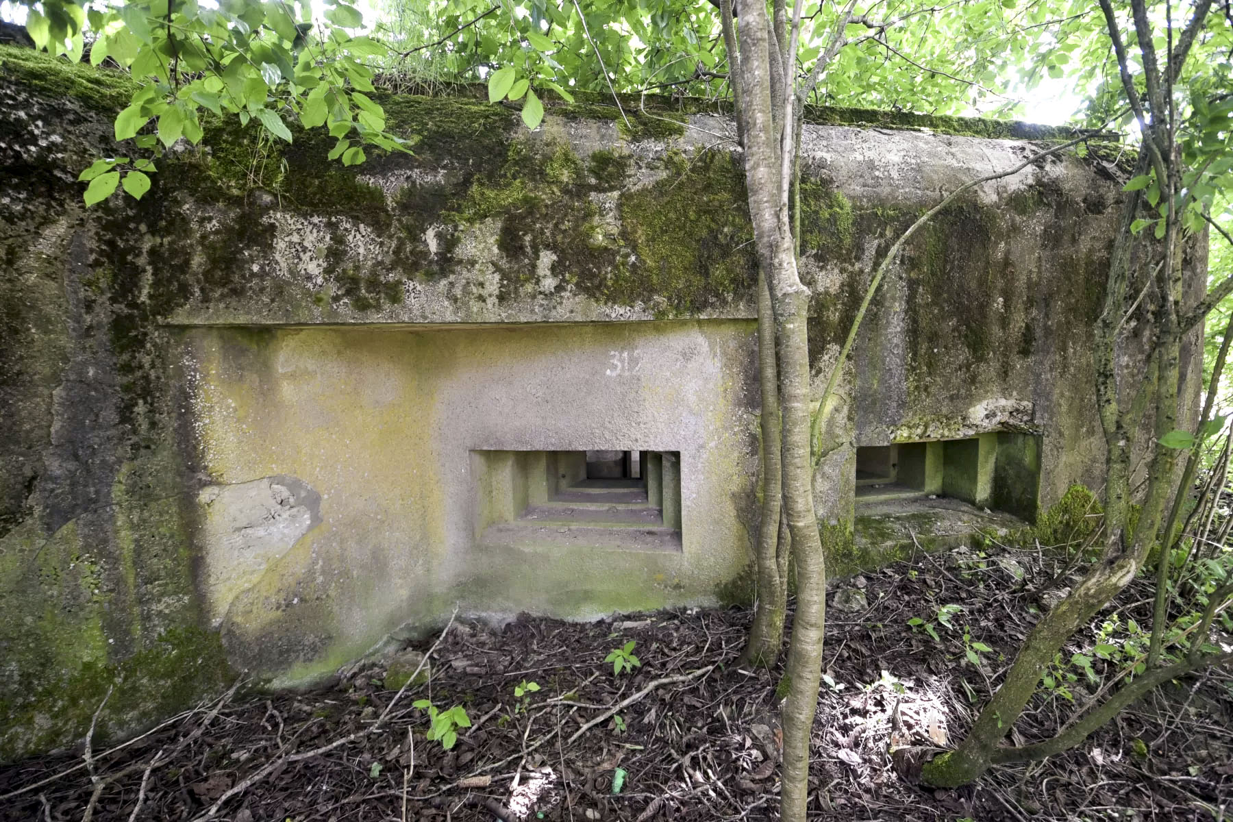 Ligne Maginot - HECKENMUEHLE OUEST - (Blockhaus pour arme infanterie) -  - Ludovic KNAPP