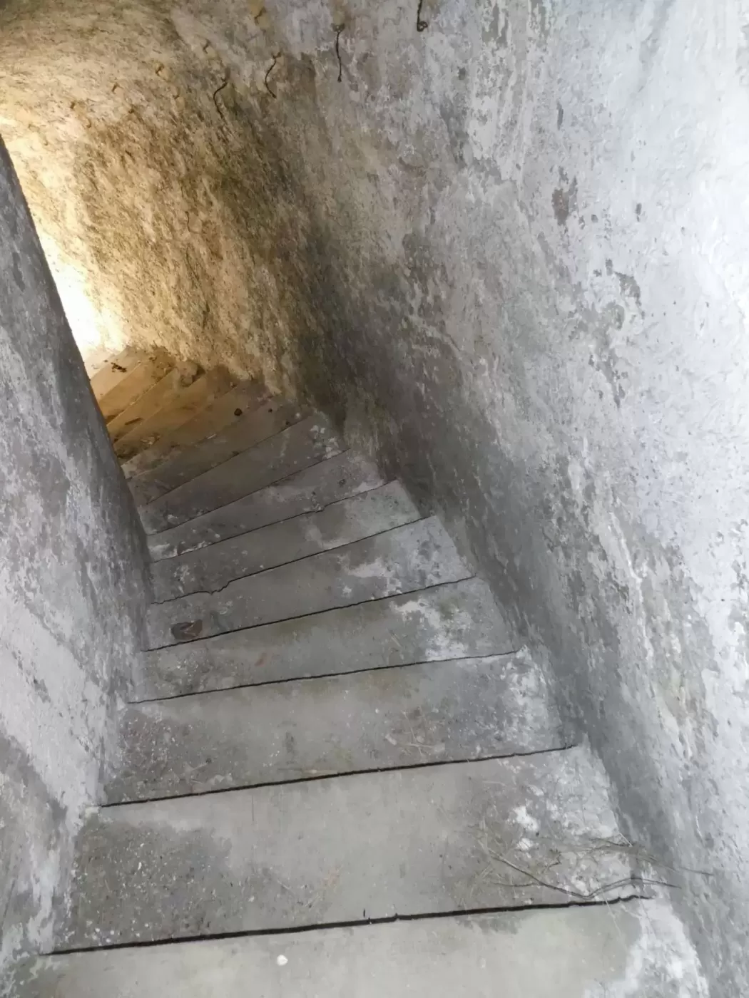 Ligne Maginot - REPLATON - (Observatoire d'artillerie) - Accès à l'observatoire - ELLENA Daniel - CUNY Philippe