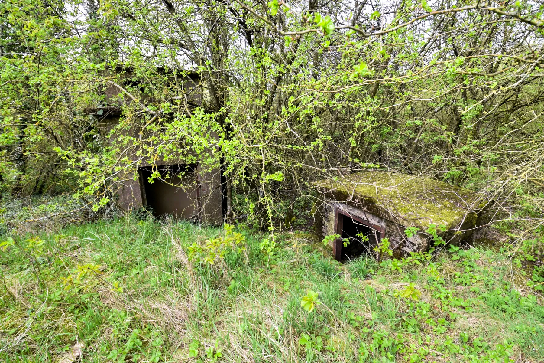 Ligne Maginot - DENTING - A28 - (Ouvrage d'infanterie) -  - Ludovic KNAPP