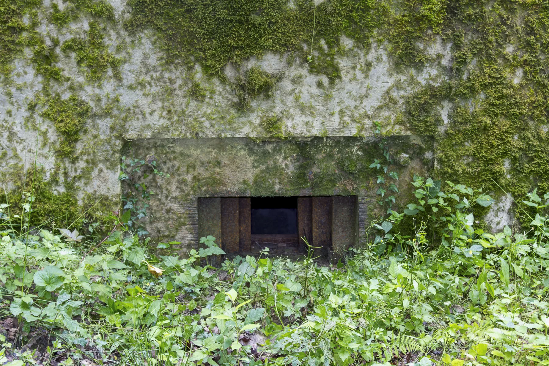 Ligne Maginot - CB234 - RIPPERT 2 - (Blockhaus pour arme infanterie) - Vue rapprochée du créneau mitrailleuse - Michel Teiten