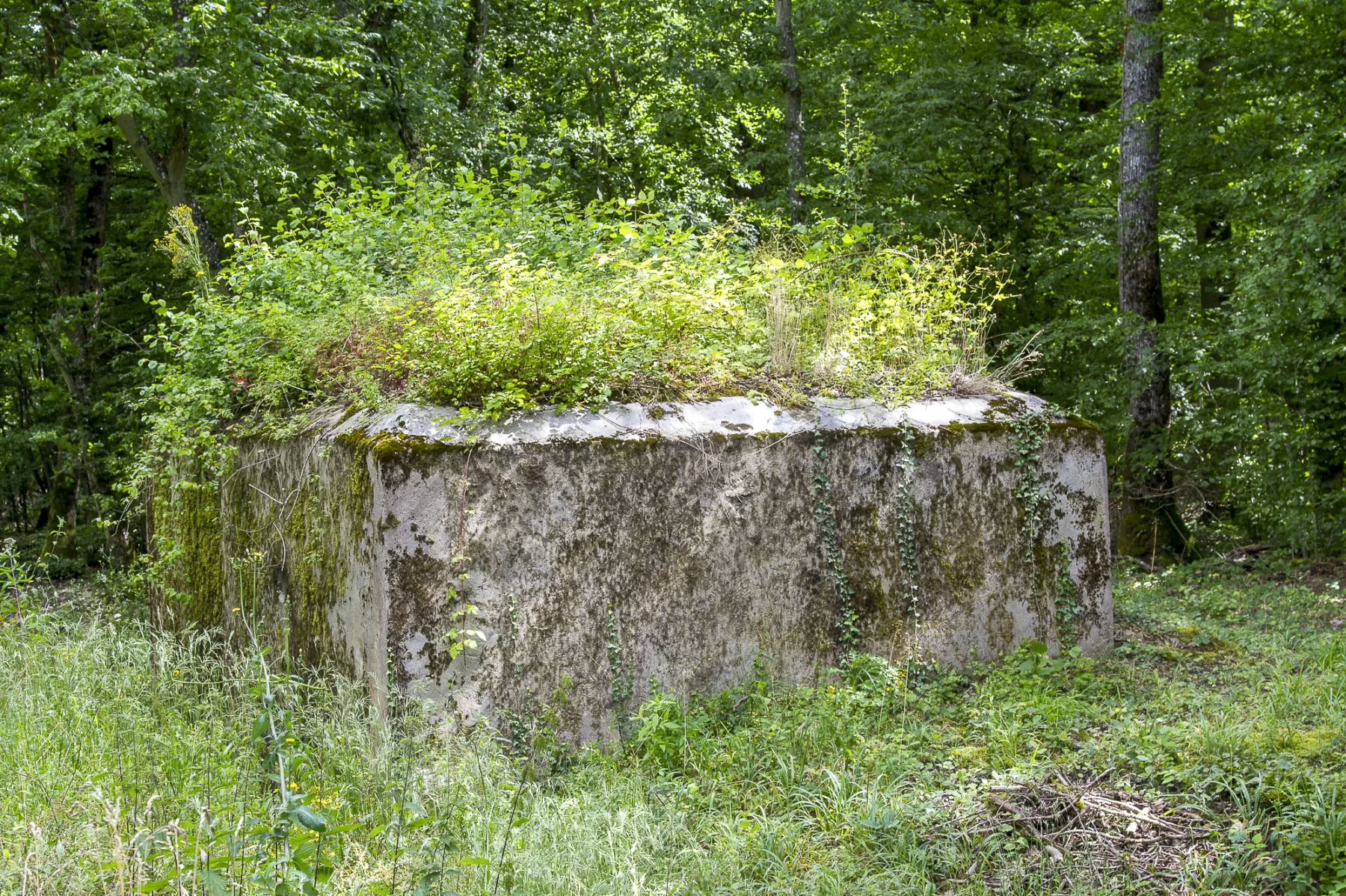 Ligne Maginot - CB234 - RIPPERT 2 - (Blockhaus pour arme infanterie) - Faces opposées à l'entrée et au créneau - Michel Teiten