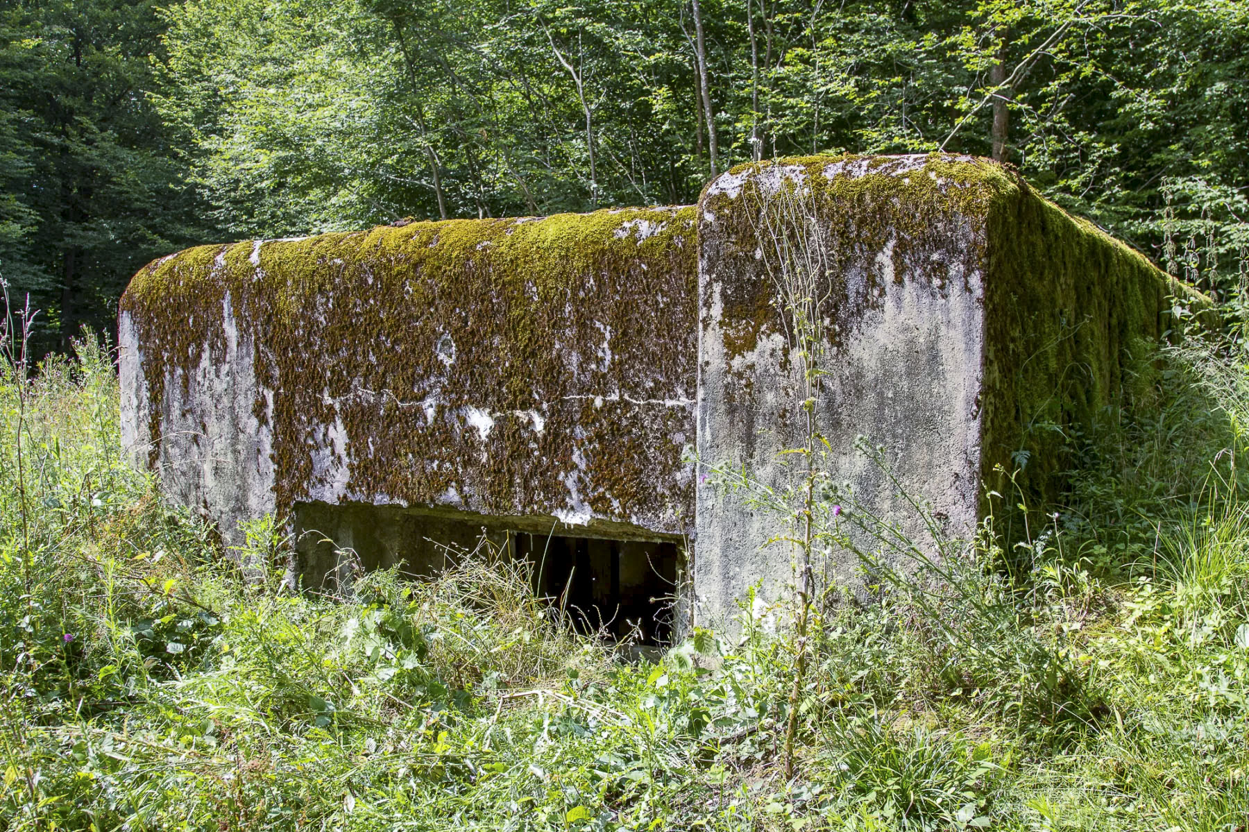 Ligne Maginot - CB235 - RIPPERT 1 - (Blockhaus pour canon) -  - Michel Teiten