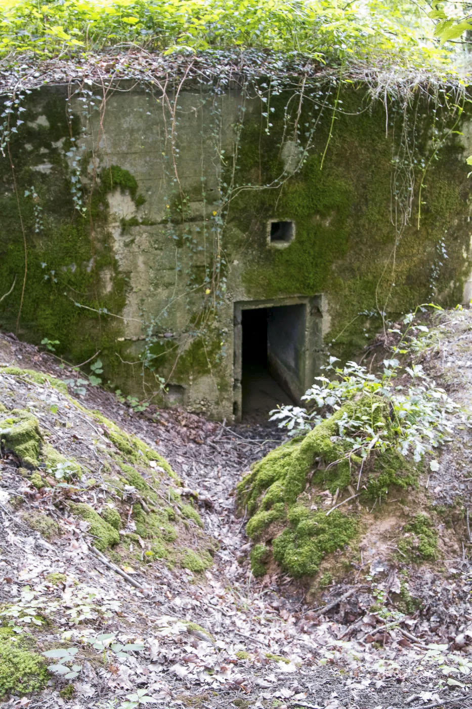 Ligne Maginot - CB277 - IDLINGEN - (Blockhaus pour arme infanterie) - Entrée du blockhaus.
La tranchée d'accès est encore bien visible. - Michel Teiten