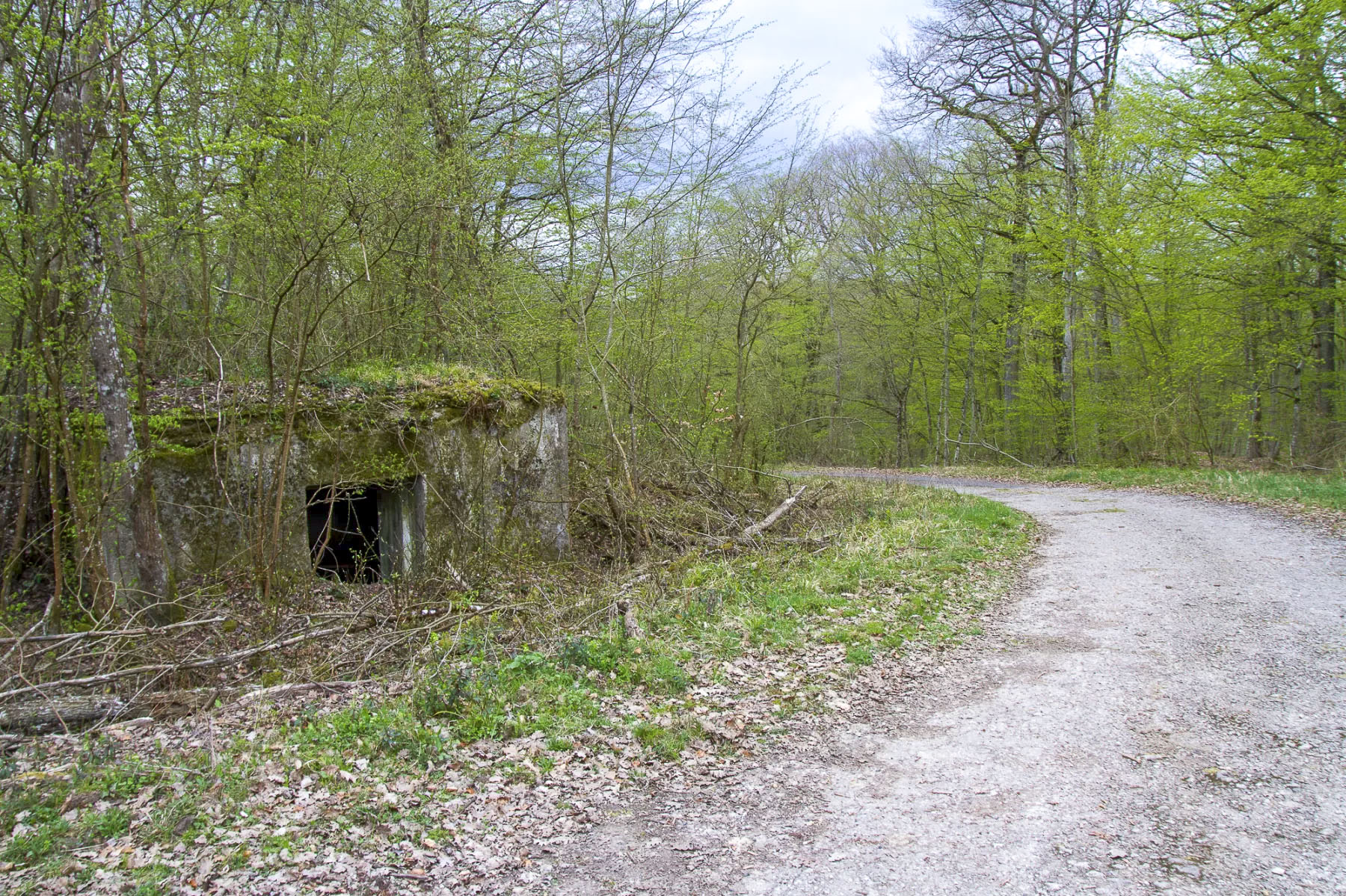 Ligne Maginot - CB174 - (Blockhaus pour canon) - Arrière du blockhaus, vu de la route militaire - Michel Teiten