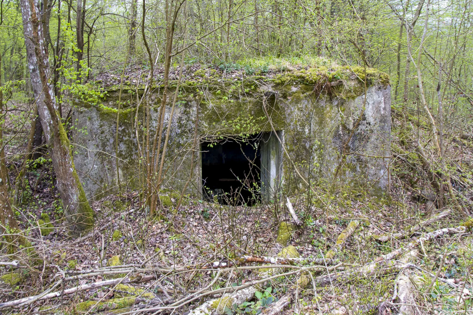Ligne Maginot - CB174 - (Blockhaus pour canon) - Arrière du blockhaus - Michel Teiten