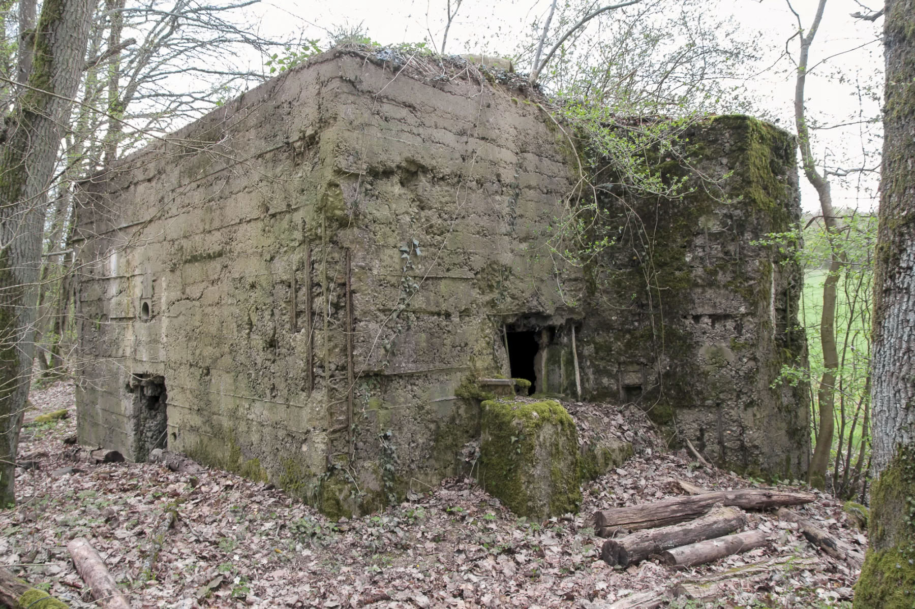 Ligne Maginot - MO-89C - BORNUNGSHOFF 4 - (Blockhaus pour arme infanterie) -  - Michel Teiten