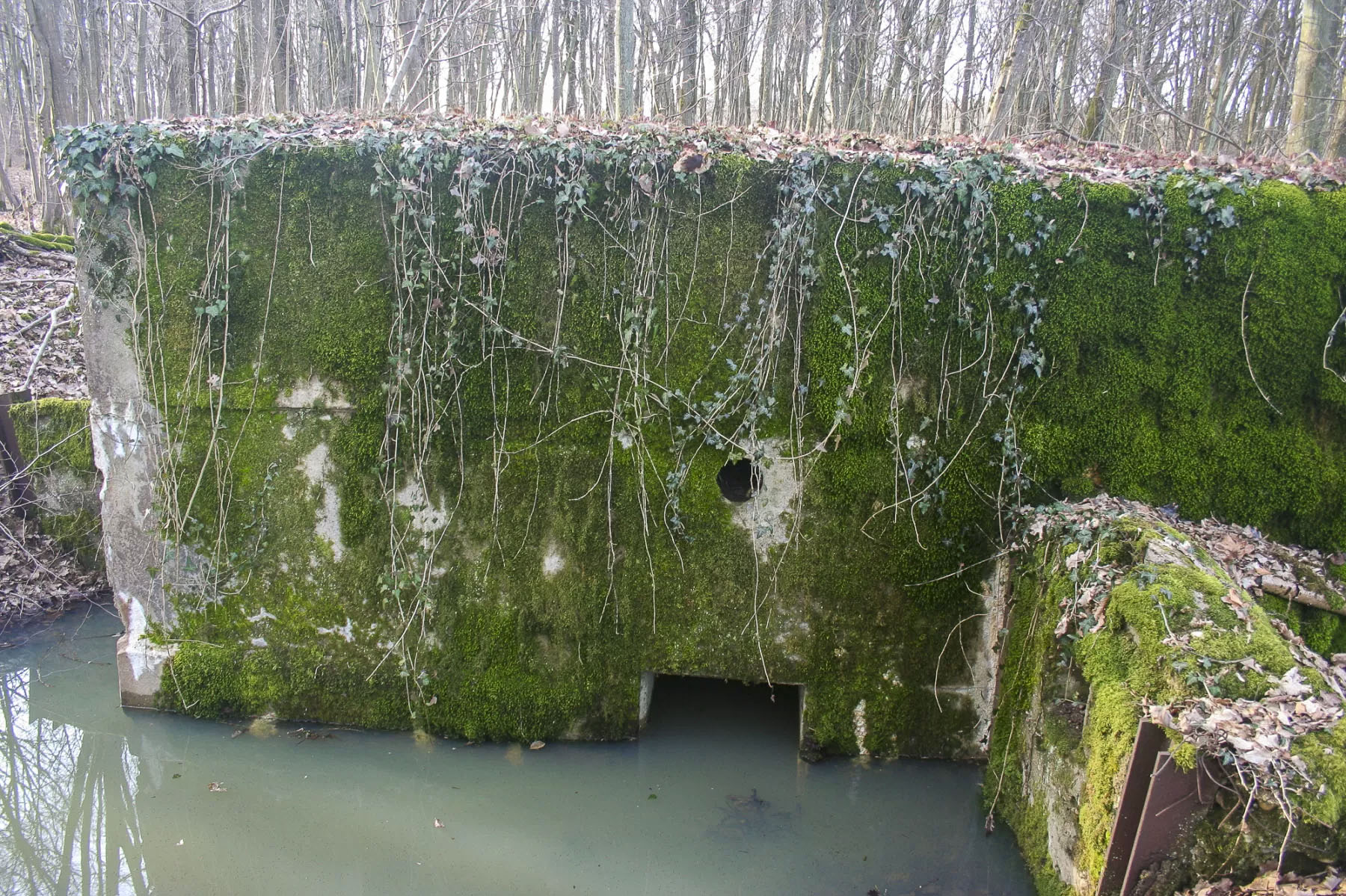 Ligne Maginot - CB298 - KUHDRECK 4 - (Blockhaus pour arme infanterie) -  - Michel Teiten
