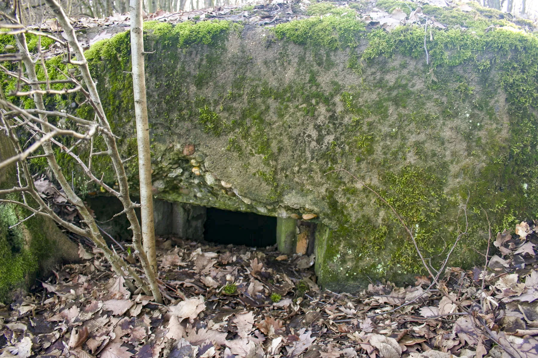Ligne Maginot - KUHDRECK 5 - (Blockhaus pour arme infanterie) - Créneau de tir - Michel Teiten