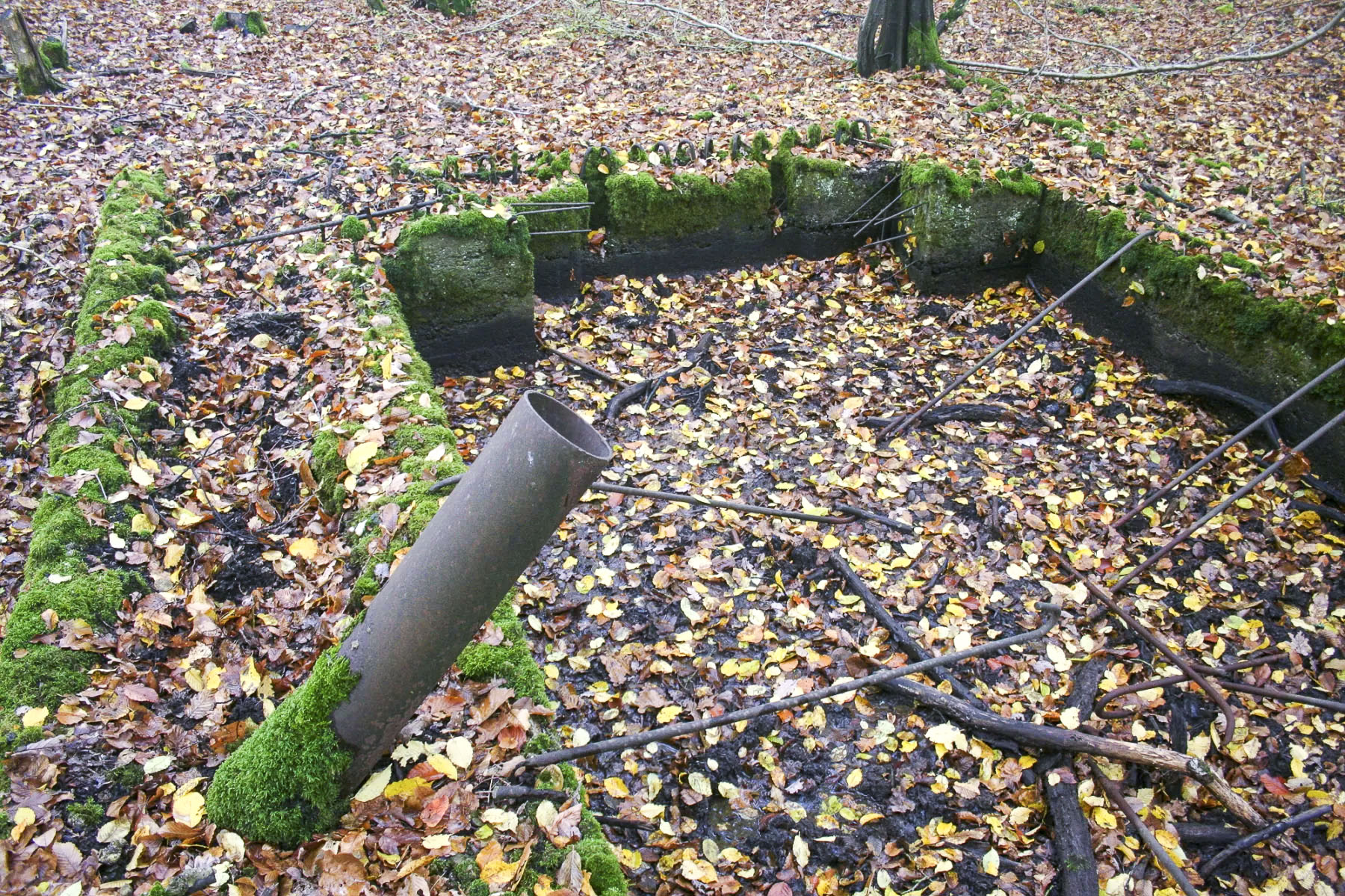 Ligne Maginot - CB443-B - BOIS KARRE 5 - (Blockhaus pour canon) -  - Michel Teiten
