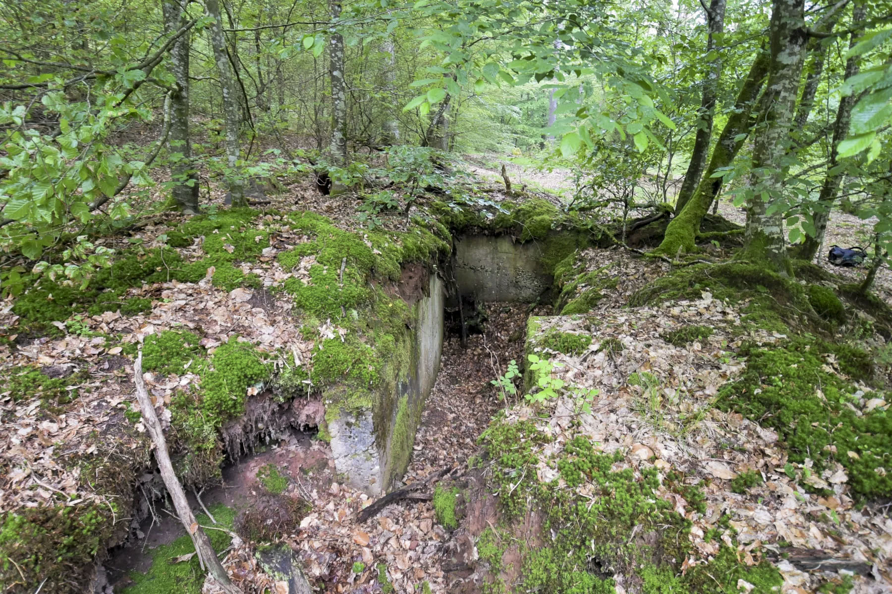 Ligne Maginot - DACHSECK 2 - (Cuve pour arme d'infanterie) -  - Ludovic KNAPP
