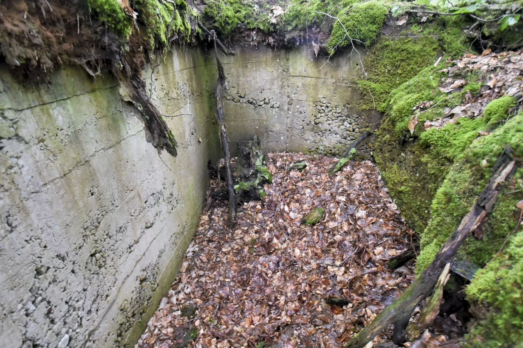 Ligne Maginot - DACHSECK 2 - (Cuve pour arme d'infanterie) -  - Ludovic KNAPP