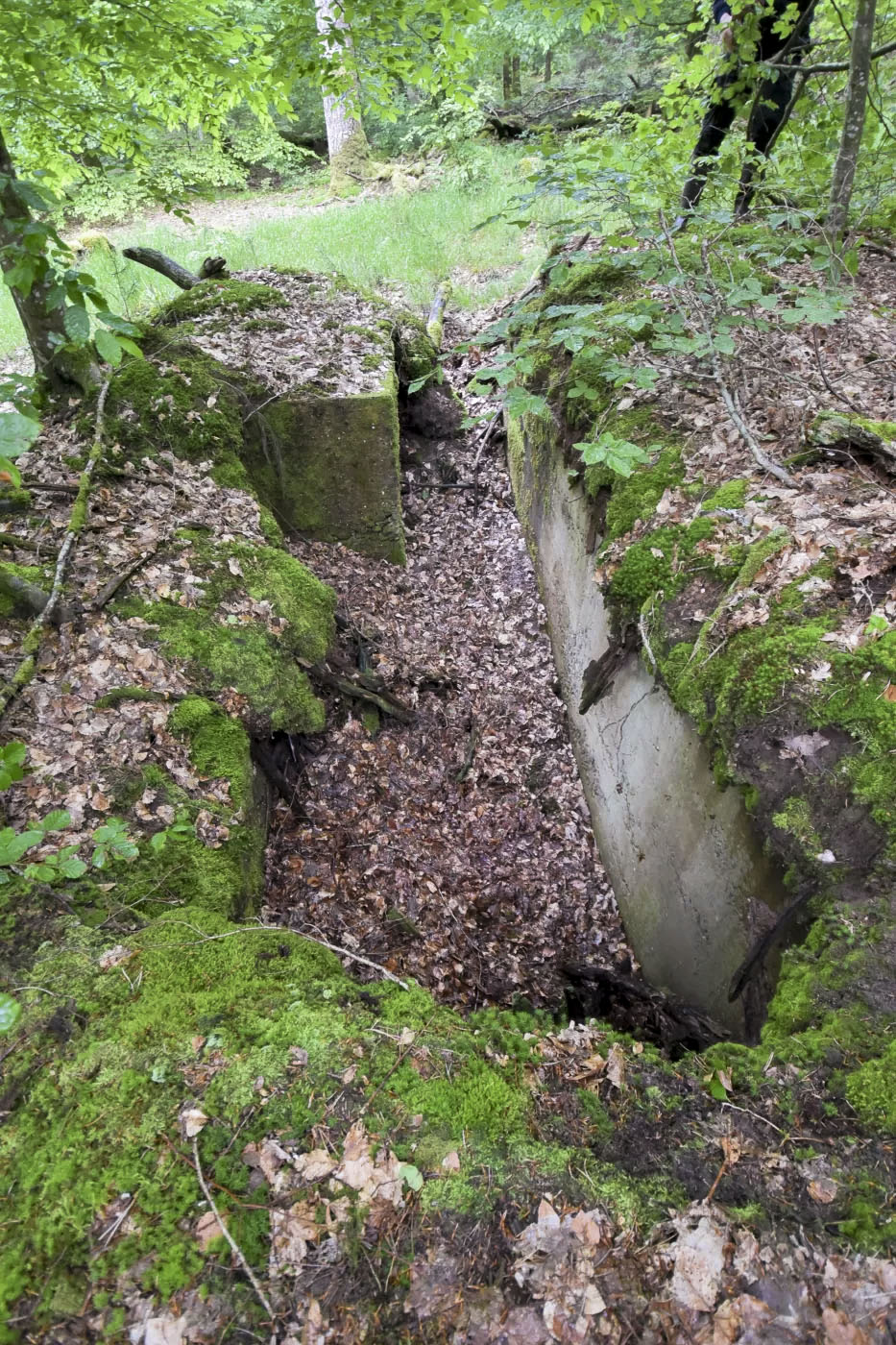 Ligne Maginot - DACHSECK 2 - (Cuve pour arme d'infanterie) -  - Ludovic KNAPP