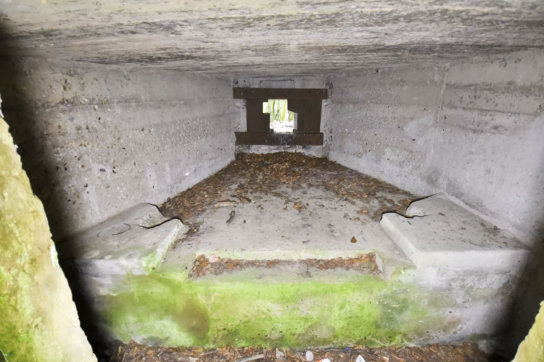 Ligne Maginot - DACHSECK 1 - (Blockhaus pour canon) - Chambre de tir
L'assise bétonnée avec les logements pour les bêches du canon

 - Ludovic KNAPP