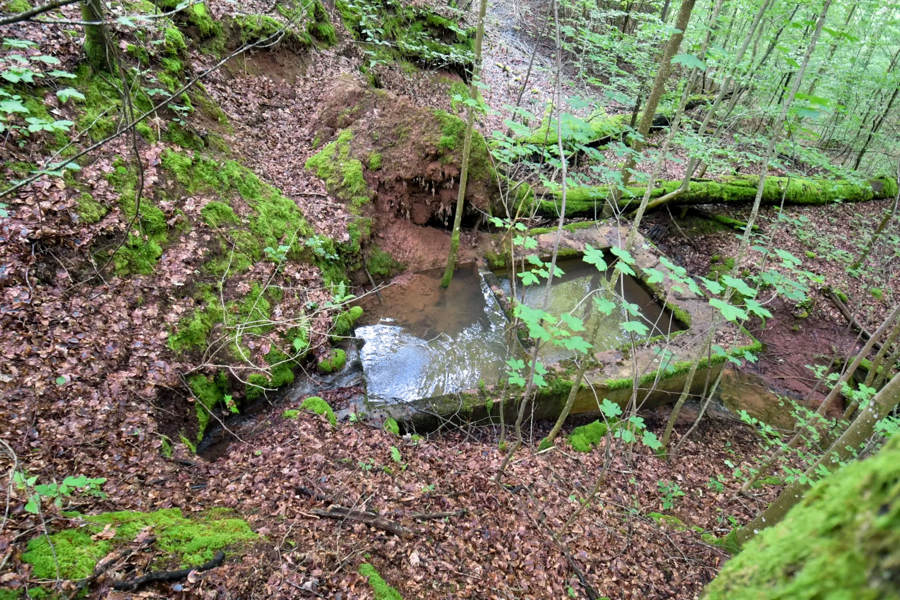 Ligne Maginot - FREUDENBERG (QUARTIER SCHIESSECK - I/37° RIF) - (Abri) -  - Ludovic KNAPP