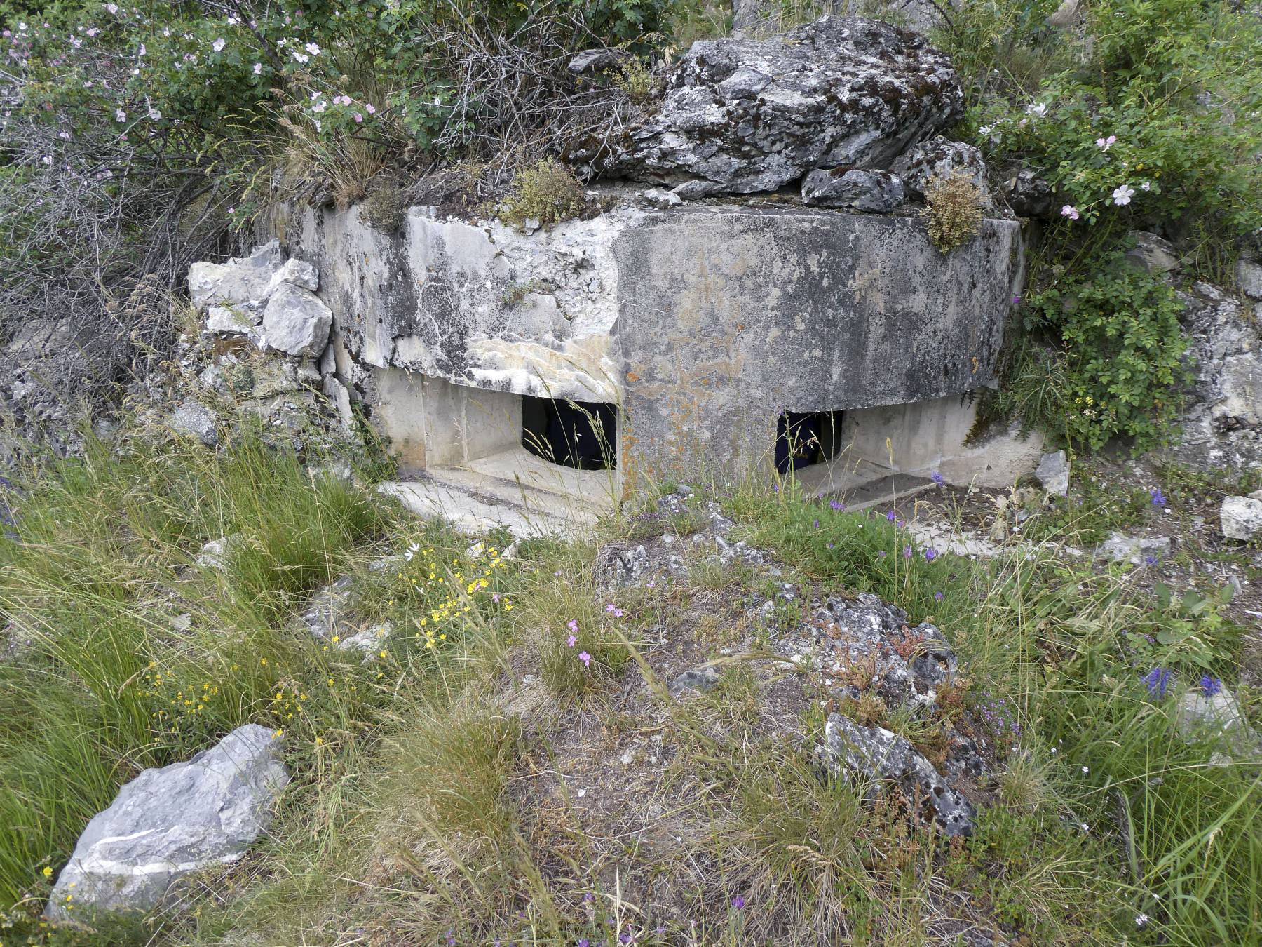 Ligne Maginot - COL DES TROIS CROIX SUPéRIEUR 2 - (Blockhaus pour arme infanterie) - 