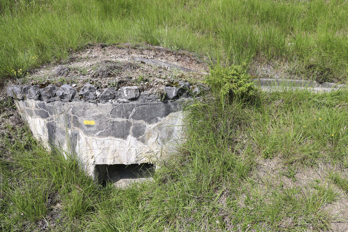 Ligne Maginot - PAS DE LA PORTE SUD 2 - (Blockhaus pour arme infanterie) -  - Alain Perouffe