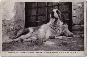 Ligne Maginot - 73° Bataillon Alpin de Forteresse (73° BAF) - Nanouk, le Saint Bernard de la SES du 73 BAF à Serennes
