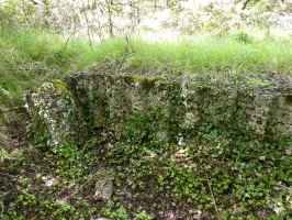Ligne Maginot - COL DE SEGRA SUD - (Abri) - 