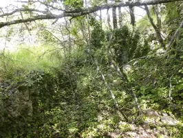 Ligne Maginot - COL DE SEGRA SUD - (Abri) - 