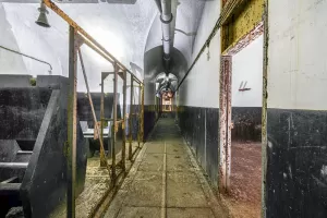 Ligne Maginot - FREUDENBERG (QUARTIER SCHIESSECK - I/37° RIF) - (Abri) - Lavabos