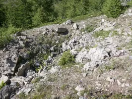 Ligne Maginot - COL DE GRANON ANNEXE 2 - (Blockhaus pour arme infanterie) - Emplacement du blockhaus