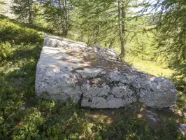 Ligne Maginot - COL DE GRANON ANNEXE 2 - (Blockhaus pour arme infanterie) - Dalle de toiture projetée plus bas par l'explosion