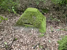 Ligne Maginot - ALTWIESERBACH 6 - (Observatoire indéterminé) - Le premier poste d'observation intact