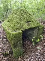 Ligne Maginot - ALTWIESERBACH 6 - (Observatoire indéterminé) - Le premier poste d'observation intact
