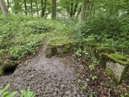 Ligne Maginot - ALTWIESERBACH 6 - (Observatoire indéterminé) - Les restes du poste de tir avec le terrier de son nouvel habitant