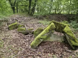 Ligne Maginot - ALTWIESERBACH 6 - (Observatoire indéterminé) - Les restes du second poste d'observation probablement détruit par un obus (trou au second plan)
